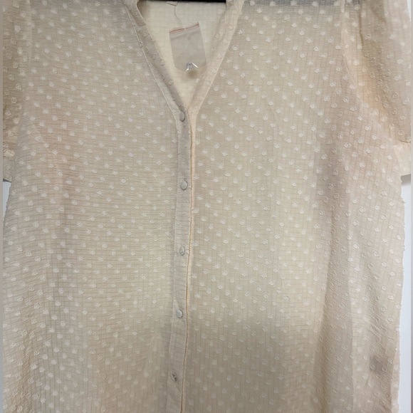 Women’s Plus Size Top Shirt Blouse Cream 1X NEW Perch by Blu Pepper - Picture 7 of 8